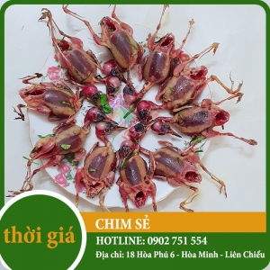 Chim sẻ