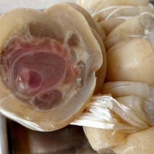 Gân bò