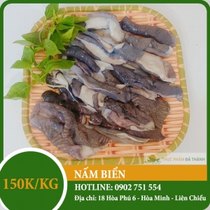 Nấm biển