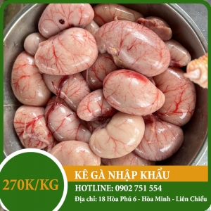 Ngọc kê gà nhập khẩu