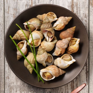 Ốc bulot Pháp