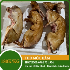 Thịt Thỏ