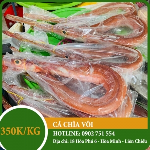 Cá chìa vôi Cá chìa vôi